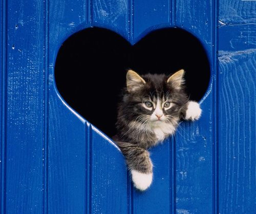 Valentinatav's profile picture. 