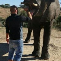 gazhorne on Twitter: 