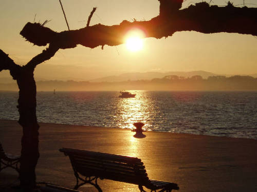 CvBarth1's profile picture. I'm a Young Vampire in an old world.