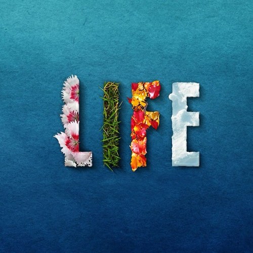 kiwi9777's profile picture. 