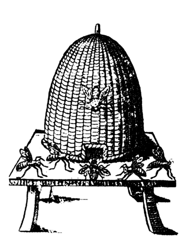 Beehive_Design's profile picture. Design firm at 401 Richmond, Toronto. Dedicated to finding the overlap between experimentation & relevance. Tackling design challenges in identity & messaging.