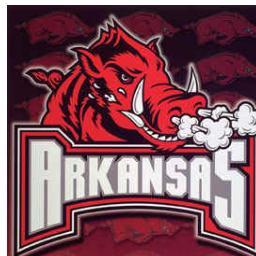 Hog_Fan4Life's profile picture. 