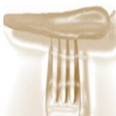 TexelOogst's profile picture. “Het creëren van een bereikbaar, toegankelijk en betaalbaar professioneel toneel voor de thuis- en professionele producenten van “het totale product van Texel”