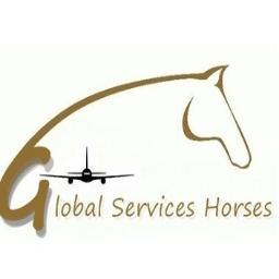 exportación,importación,transportacion de equinos en Europa,Centroaméria Sudamériia venta de caballos,potros ,yeguas cargadas *FRIESIAN *GIPSY *BARROCK PINTO