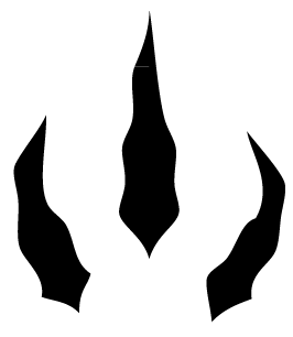 MRaptors's profile picture. 