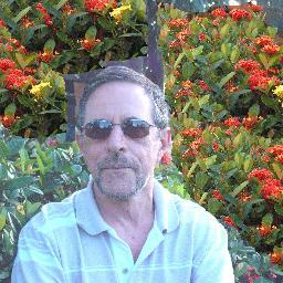 Sou professor, escritor e torcedor do Galo