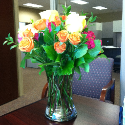 Mindy_Dixon's profile picture. 