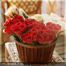 hasan76543211's profile picture. 