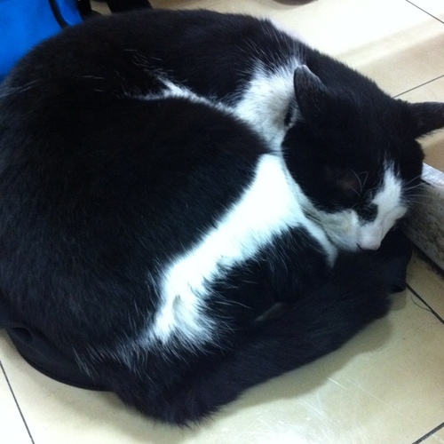 feedback_orz's profile picture. 