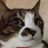 0001_tatsu's profile image