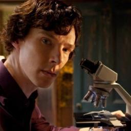The world's first and only Consulting Detective. I play the violin when I'm thinking, and sometimes I don't talk for days on end. (RP account)