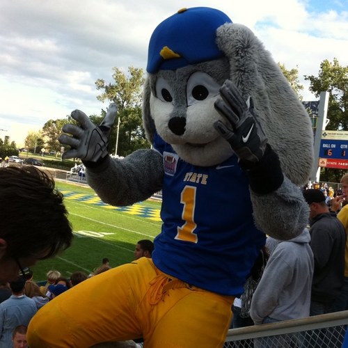 gojacks96's profile picture. 