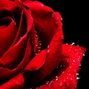 corina - @CorinaDean71 - Twitter