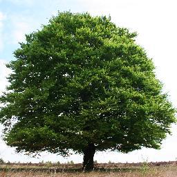 SPULectio's profile picture. Encounter, Explore, and Embrace the Christian Story. Online Guided Bible Reading.