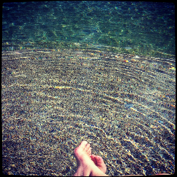 n_endless_waltz's profile picture. Proud to be a farmer's daughter; starting my career as an attorney