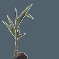 Sustainable Living (@transitionlag) 's Twitter Profile