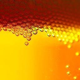 Pointblankbeer's profile picture. We are a Portland, Oregon based beer distributing company providing quality and craft beers for all with a focus on imports and specialty brews