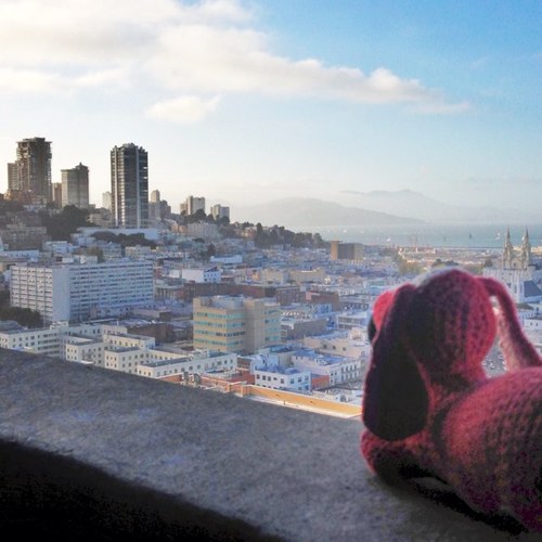 I am a travelling red miniature dachshund! I travel the world and post pictures of me at various places of interest.