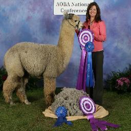 Jakaila_Alpacas's profile picture. Home of Decon grey