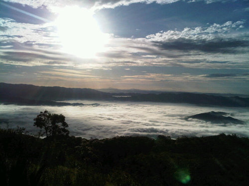 Evelincampos's profile picture. 