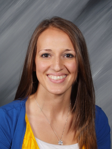 Viking New Tech Math Facilitator