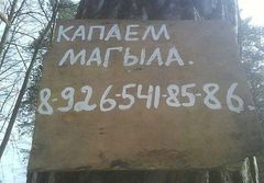 vitragist's profile picture. 