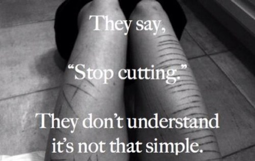 Broken, Depressed, Selfharmer.