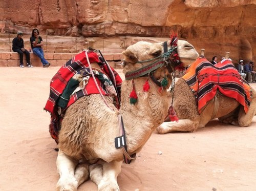 sue1481's profile picture. 