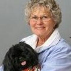 DoloresHestad's profile picture. Designer of  unique books  - This is my Doggie Life & This is my Kitty Life, Married, Retired  a Grandmother and Grt-Grndm, lover of pets & our Shih Tzu Shadow.