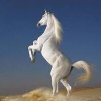 الكويت (@q8__1980) Twitter profile photo
