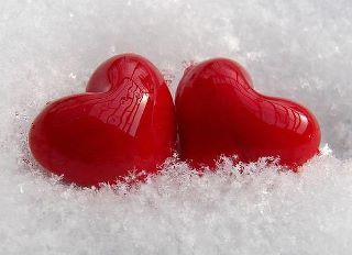 hichemfifi's profile picture. 