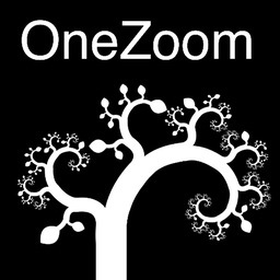 OneZoom provides an online explorer for life on earth built around the tree of life.