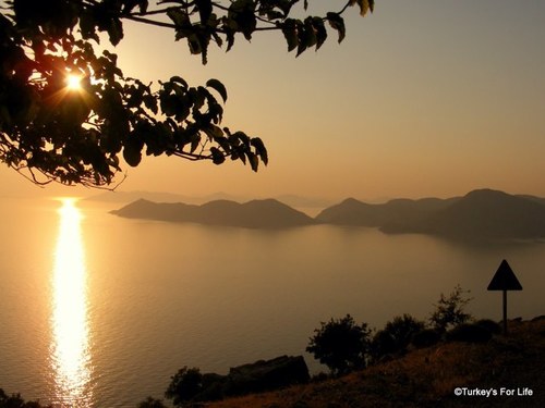 bluebottle1234's profile picture. 