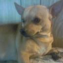 Bobby Gordon - @the_cartooner - Twitter