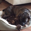 aaron riesen - @AaronRiesen - Twitter