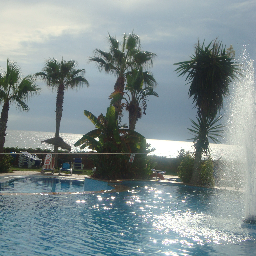 fzambran1's profile picture. 