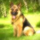 Susan McAtee - @Strictlysuzie - Twitter