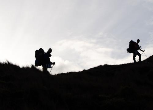 RafalStachowicz's profile picture. 