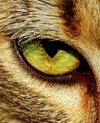 skingirlnz's profile picture. 