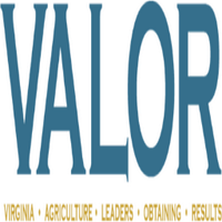 VALOR team (@valeadersor) 's Twitter Profile