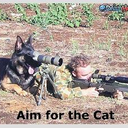 David McAleese - @xxHOTDOGxx - Twitter