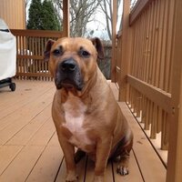 Tom D. (@_tdrozd) 's Twitter Profile