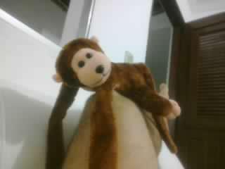 Eu so u amigo de copo de zenilton9 e mascote da banda forro da pegaçao e farra de rico e
