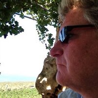 David44 (@fourdavid) 's Twitter Profile