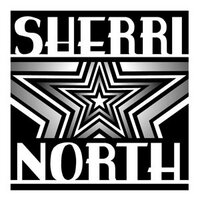 Sherri North - @SherriNorth Twitter Profile Photo