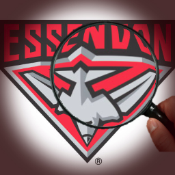 WindyHillDon's profile picture. 