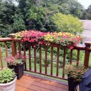 John Waldorf - @shorttack1000 - Twitter