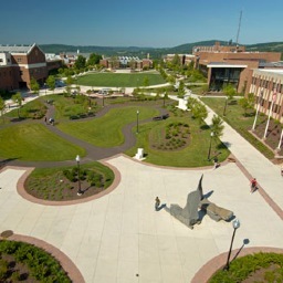 BloomBenefits's profile picture. 