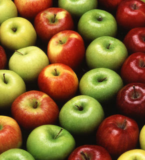 Ontario Local Food is committed to promoting the goods of local Ontario farmers.
