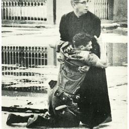 williamsjoseroj's profile picture. Venezolano amante de su país, como muchos lo aman defensor de la verdad y la democracia en nuestra Venezuela